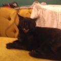 Profile picture janetweston.bsky.social
