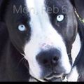 Profile picture harrietthespy.bsky.social