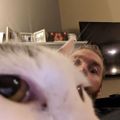 Profile picture snovski.bsky.social