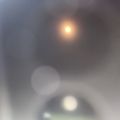Profile picture frees1.bsky.social