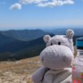 Profile picture toadlink.bsky.social