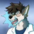 Profile picture sedawolf.bsky.social