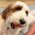 Profile picture markbaillie.bsky.social