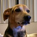 Profile picture jacktrudeau.bsky.social