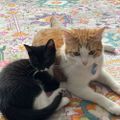 Profile picture sage-and-pistachio.bsky.social