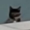 Profile picture markman2407.bsky.social