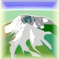 Profile picture brucebourgoine.bsky.social