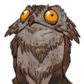 Profile picture hoogehoot.bsky.social