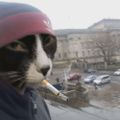 Profile picture miridoingthings.bsky.social
