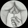 Profile picture coppiaamateur.bsky.social
