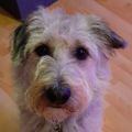 Profile picture lucyvl.bsky.social