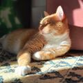 Profile picture mischnik.bsky.social