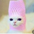 Profile picture watchlady.bsky.social