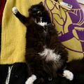 Profile picture lrlarson7.bsky.social