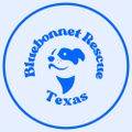 Profile picture bluebonnetrescue.bsky.social