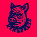 Profile picture rexwinkel.bsky.social
