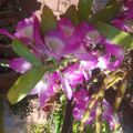 Profile picture rosih5.bsky.social