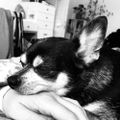 Profile picture chloebr1xt0n.bsky.social