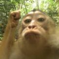 Profile picture oli182.bsky.social