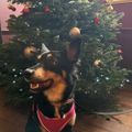 Profile picture nat205.bsky.social