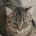 Profile picture michieknowsmost24.bsky.social