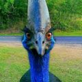 Profile picture daennui.bsky.social