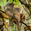 Profile picture rnkew.bsky.social