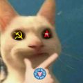 Profile picture bsurderjockel.bsky.social