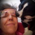 Profile picture bardbag.bsky.social