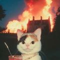 Profile picture mmludz.bsky.social