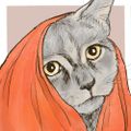 Profile picture mercurialkitty.bsky.social