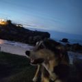 Profile picture stavinoha.bsky.social
