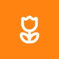 Profile picture jo-jas.bsky.social