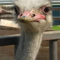 Profile picture megdejager.nl