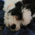 Profile picture cataltdel.bsky.social