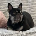 Profile picture mitziismyname.bsky.social