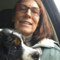 Profile picture aperry77.bsky.social