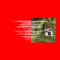Profile picture maderie.bsky.social