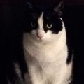 Profile picture decaf4me.bsky.social
