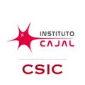 Profile picture institutocajal.bsky.social