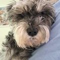 Profile picture billydee123.bsky.social