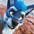 Profile picture chasermcnub.bsky.social