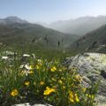 Profile picture wslbiodiversity.bsky.social