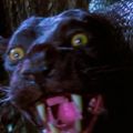 Profile picture opepanther.bsky.social
