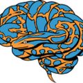 Profile picture nilearn.bsky.social