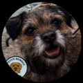 Profile picture morrisbt.bsky.social