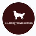 Profile picture goldretrieverus.bsky.social