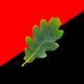 Profile picture anarcho-arborist.bsky.social