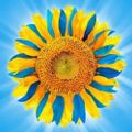 Profile picture keddieff.bsky.social
