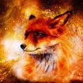 Profile picture anonimusnow.bsky.social